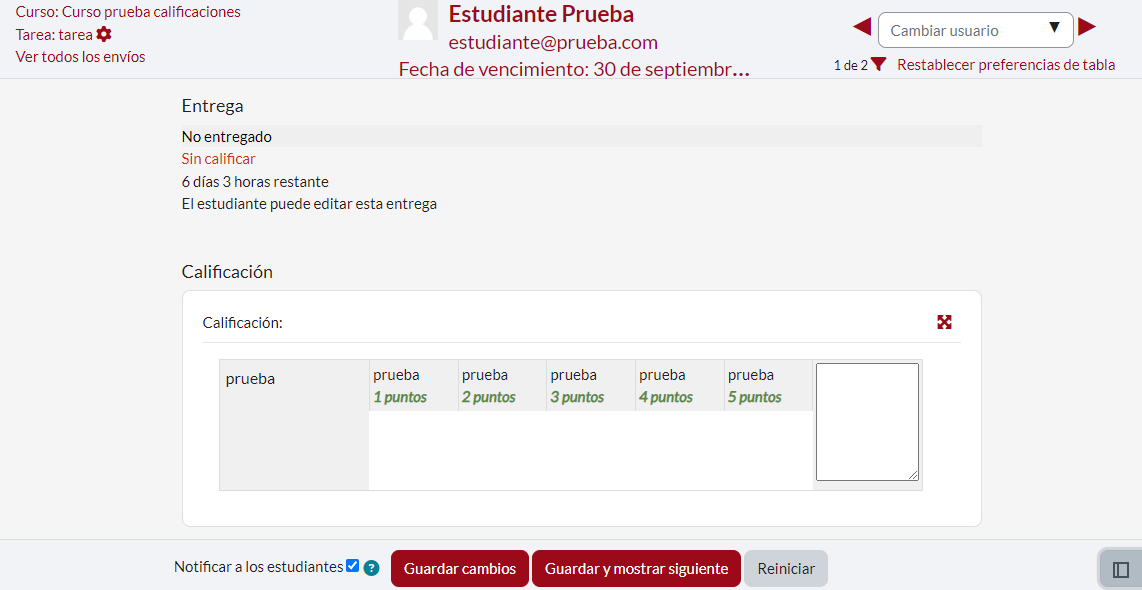 Evaluación de actividad por medio de rúbrica.