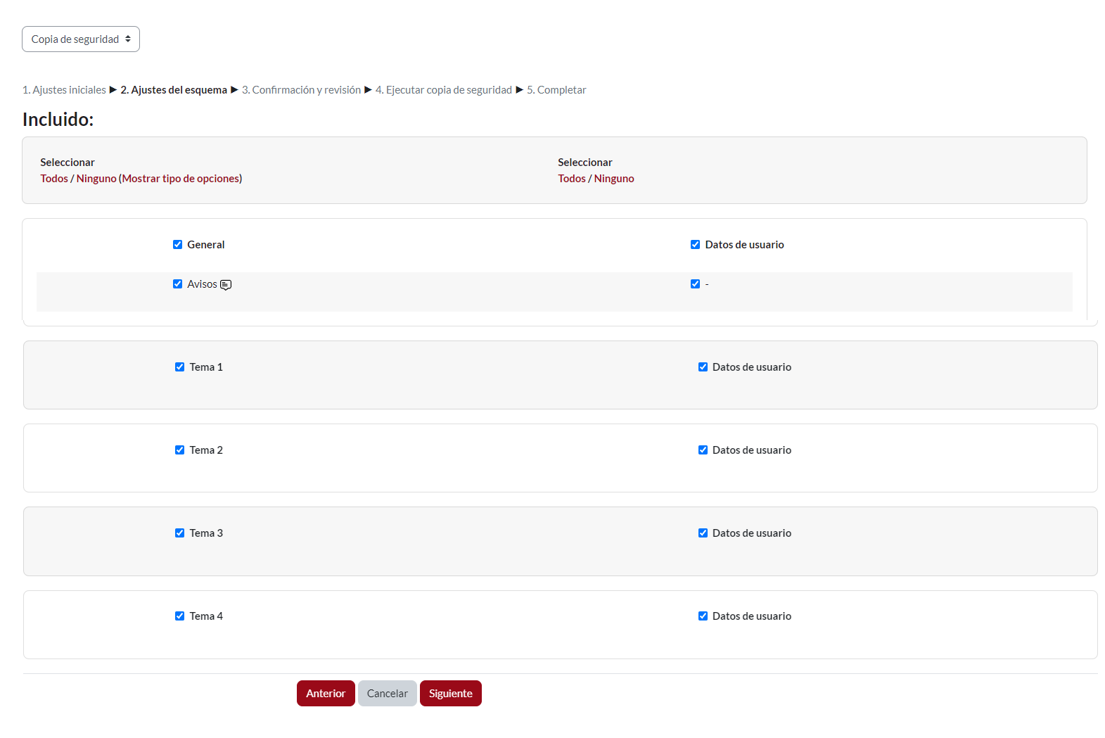 Módulo “Copia de seguridad”, revisión ajuste del esquema